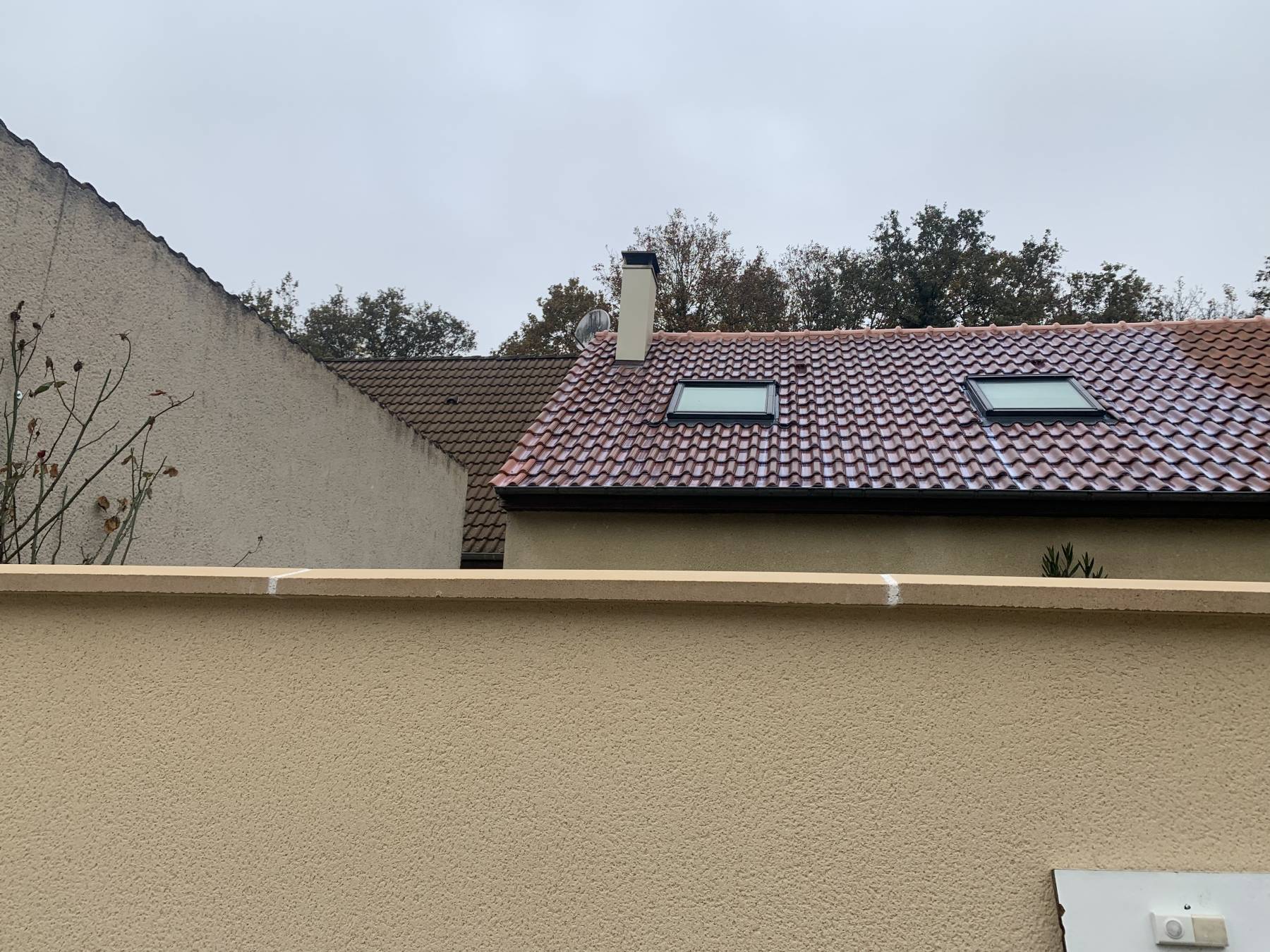 Traitement toiture anti mousse : tout ce qu'il faut connaitre -  picardie-renovation